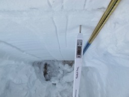 Profil snehovej pokrývky, meranie teploty snehu.