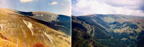 Stav zalesnenia v čase pádu lavíny (vľavo) a súčasný stav zalesnenia (vpravo)